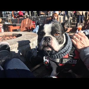 Meet your Posher, Karan